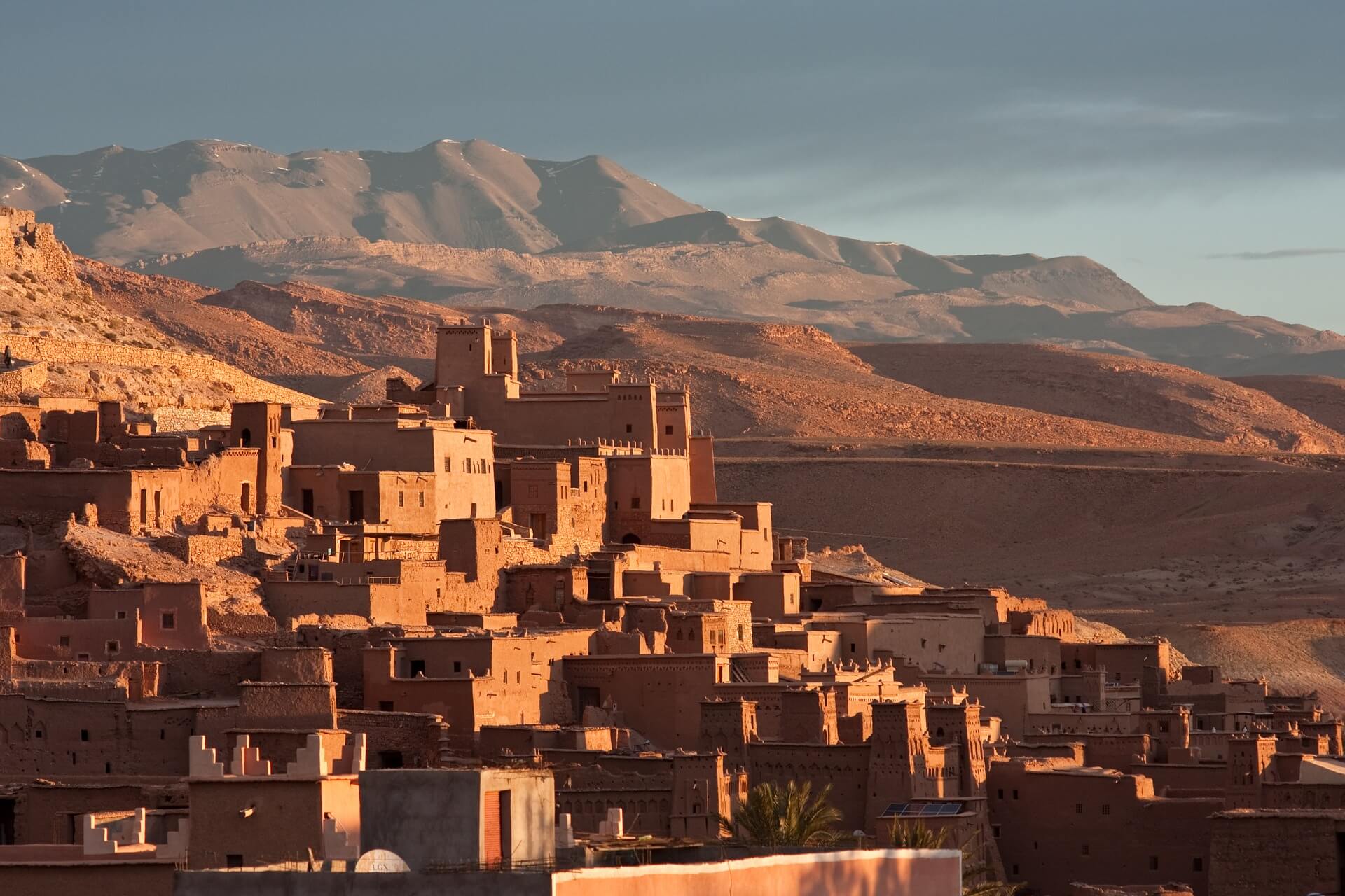 قاموس العامية المغاربية